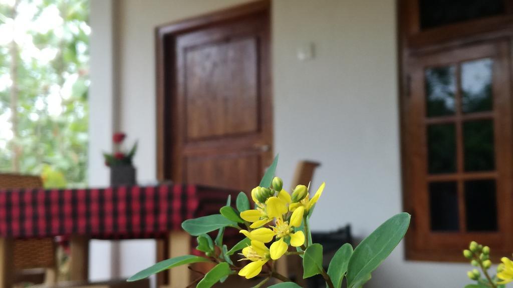 Appartamento Family Nest Dambulla Esterno foto