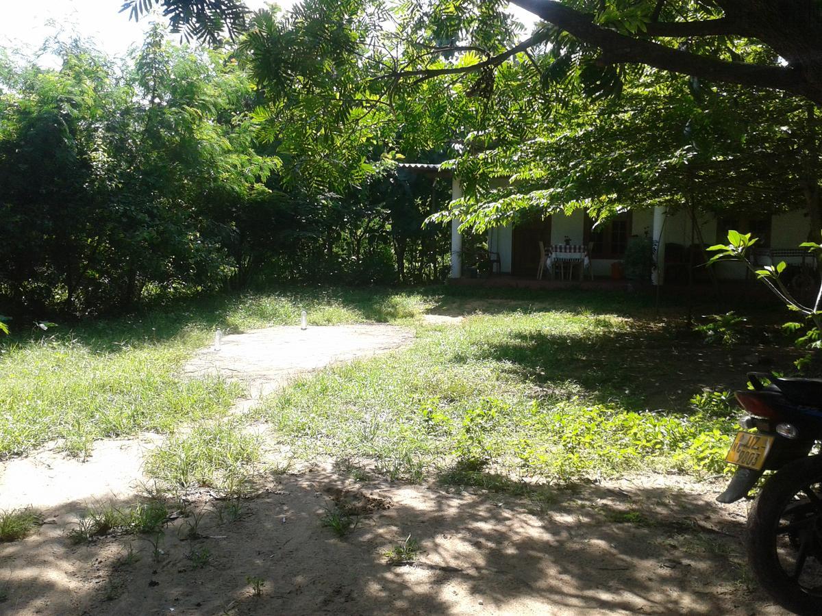 Appartamento Family Nest Dambulla Esterno foto