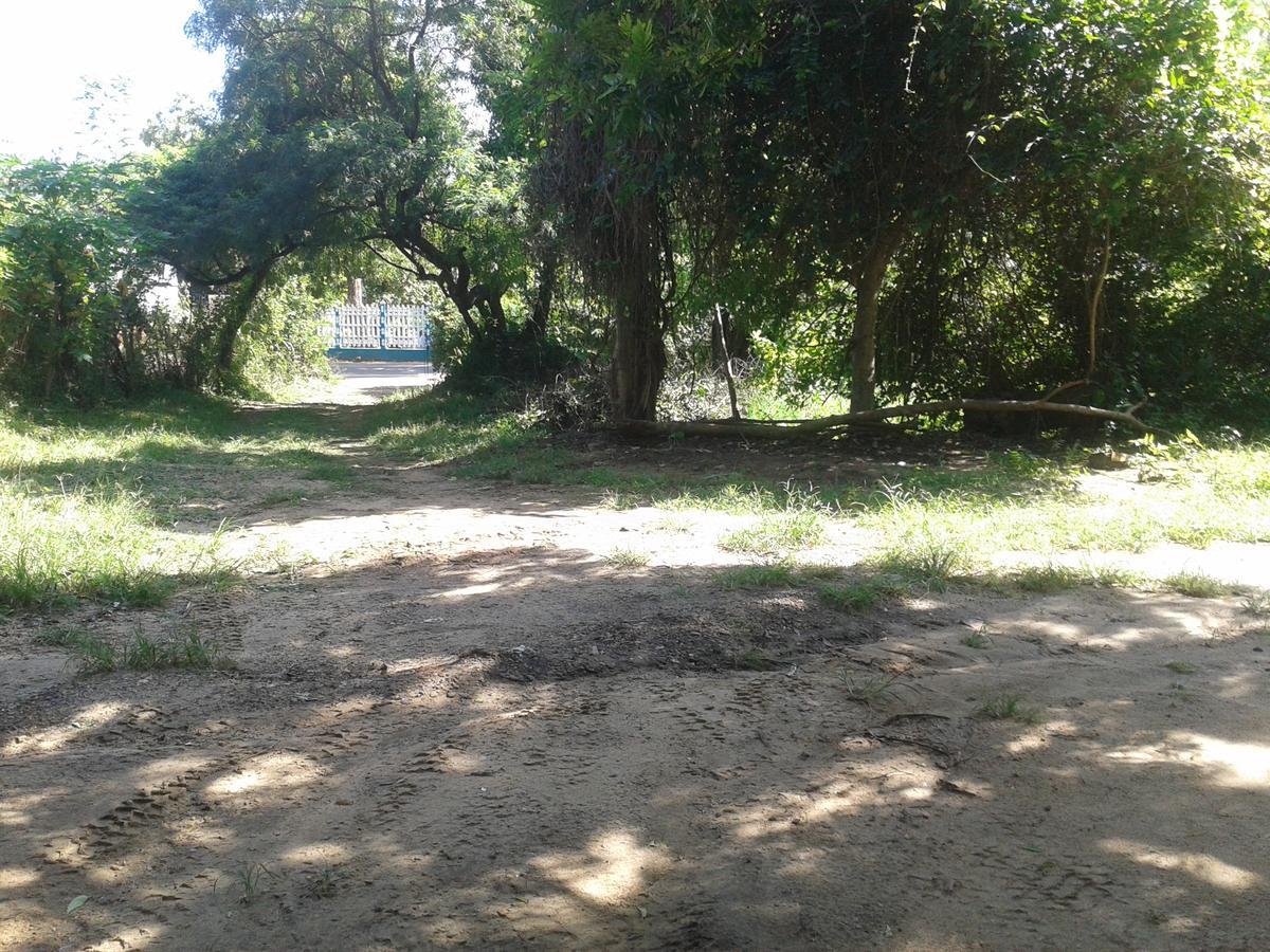 Appartamento Family Nest Dambulla Esterno foto